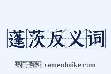 蓬茨反义词是什么意思的图片